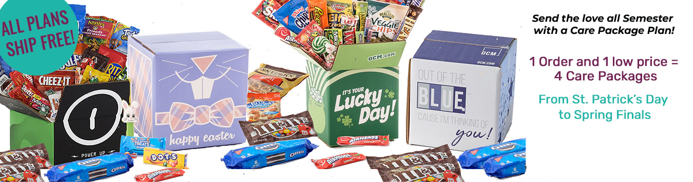 banner-spring 2021-ocm